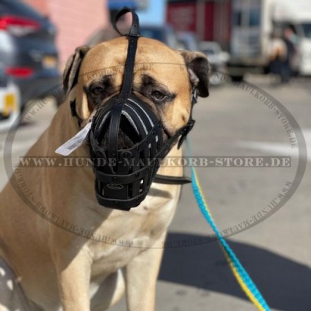 English Mastiff Maulkorb aus Leder mit super Luftzirkulation