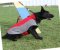 Dog Coat for Shepherds | Winter Coat for Dogs of Any Breed