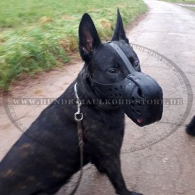 Herder Beißkorb aus Leder "Dondi plus" für Hetzarbeit