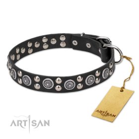 Leather Collar with the Mix of big and small Studs