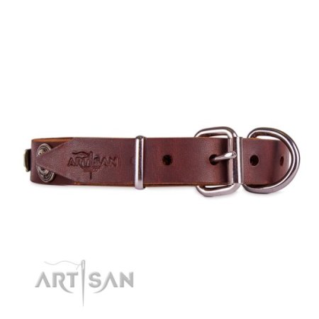 Keltisches Hundehalsband aus Leder, 2,5 cm