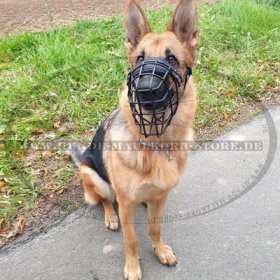 German Shepherd Wire Basket Dog Muzzle, Covered by Black Rubber