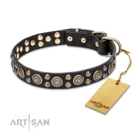 Leather Collar with the Mix of big and small Studs