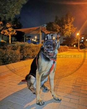 Wire dog muzzle for German Shepherd
