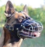 Bestseller Drahtmaulkorb für Belgischen Malinois! Super Design!