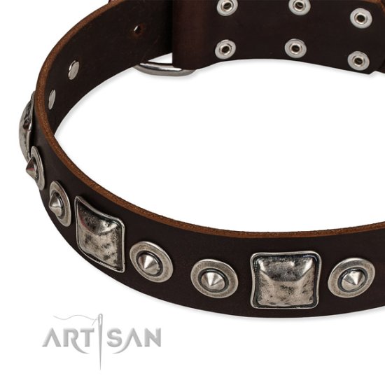 Ledernes Hundehalsband "Pierian Spring" von FDT Artisan