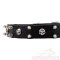 Skulls Dog Collar like in Mexico! Rocker Skulls Collar!