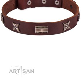 Exklusives Hundehalsband mit Sternen und Platten aus Nickel