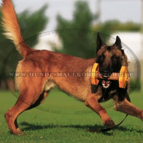 IGP Gewichte für Hundesport und Hundetraining