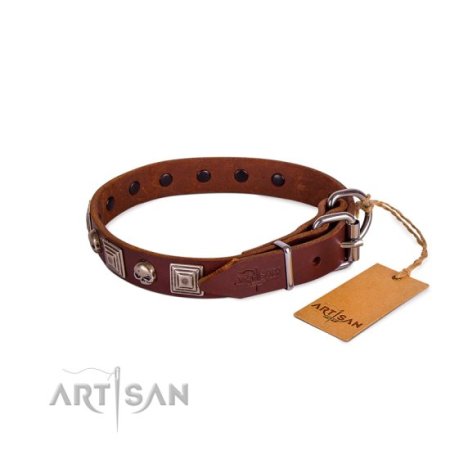 Hundehalsband aus Leder mit Schädel Dekor im Rock Design