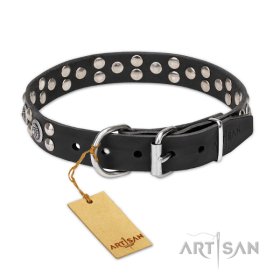 Leather Collar with the Mix of big and small Studs