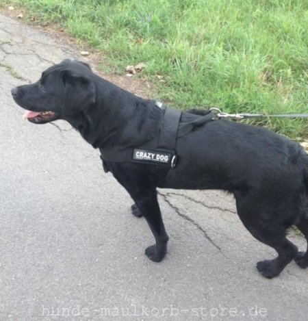 Brustgeschirr aus strapazierfähigem Nylon für Labrador