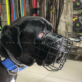 Basket Dog Muzzle, covered by black rubber for Cane-corso