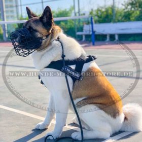 Nylon Hundegeschirr Sport und Trainings mit Akita Inu
