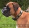 Deutscher Boxer Luxus Hundehalsband aus Leder