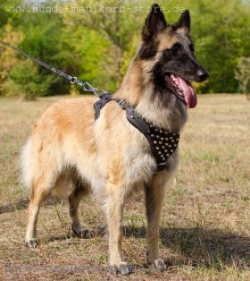 Studded walking dog leather harness with pyramids - Top Quality