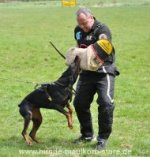 Hetzärmel für Training vom Doberman