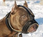 Amstaff Nappa gepolsterte Bestseller Hund Maulkorb