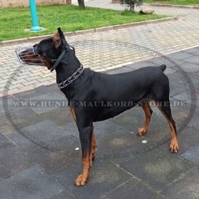 Doberman Wire Muzzle | Dog Muzzle for Doberman