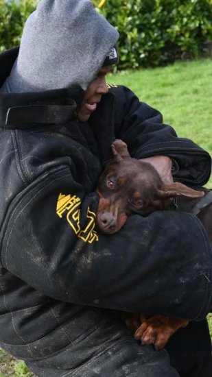 Vollschutzanzug für Schutzhund, Mondioring und French Ring