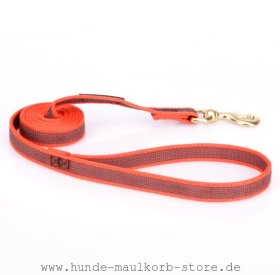 Wetterfeste Führleine Nylon für Hunde Orange