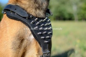 Exklusives Brustgeschirr aus starkem Leder mit Spikes Dekor