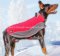 Dog Winter Coat for Doberman | Rain Coat for Dogs of Any Breed