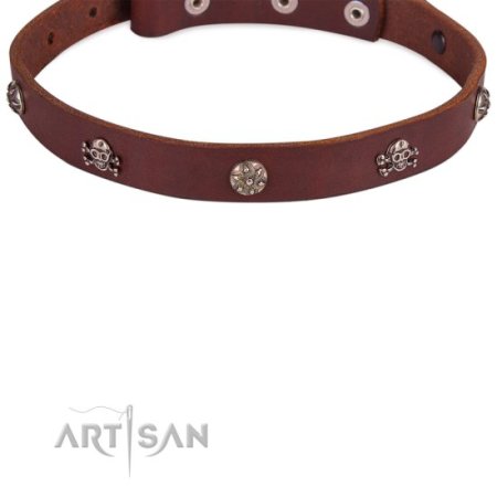 Hochwertiges Lederhalsband mit Totenkopf Dekor 2 cm