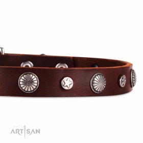 Hunde Halsband Leder mit feinem Blumen Dekor