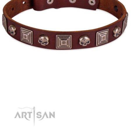 Hundehalsband aus Leder mit Schädel Dekor im Rock Design