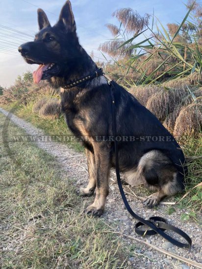 Feines Hundehalsband Leder mit Dekorationen