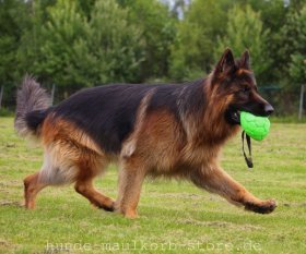 Robuster Hundeball aus Kunstleder FDT 15 cm