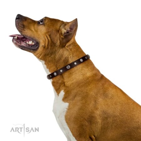 Hunde Halsband Leder mit feinem Blumen Dekor