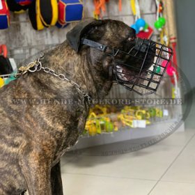 Basket Dog Muzzle, covered by black rubber for Bullmastiff