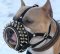 Spiked Royal Leather Dog Muzzle for Pitbull