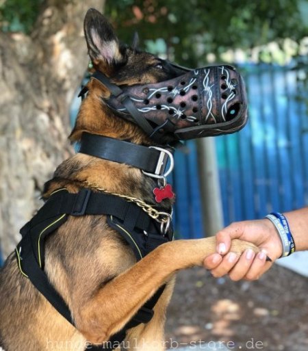Malinois K9 Sportgeschirr mit Brustplatte für Allwetter