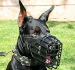 Draht Maulkorb für Dobermann ist bedeckt mit Gummi ✵