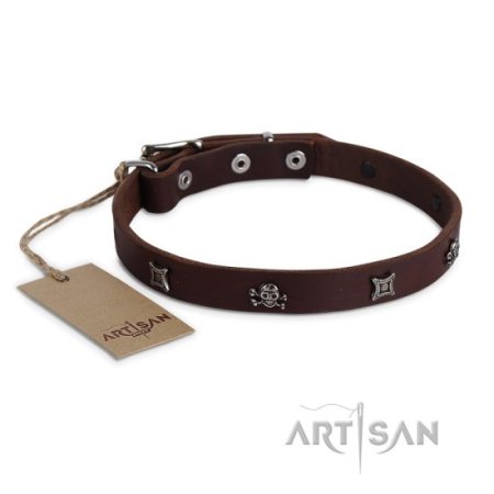Hundehalsband aus Leder mit Nieten Design, braun