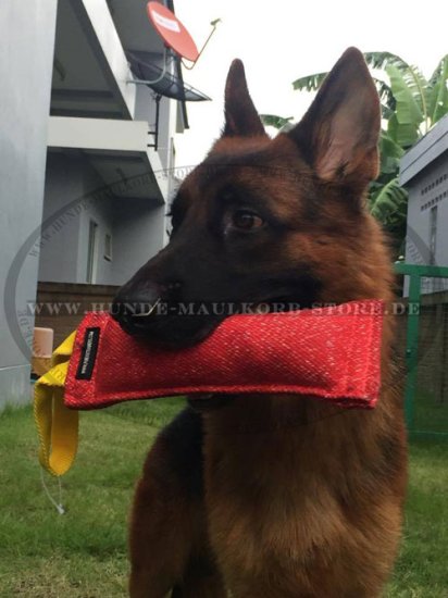 Beisswurst für Deutschen Schäferhund und Malinois