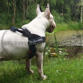 New nylon dog harness - Better control of your dog