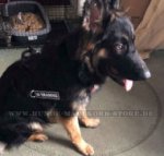 Deutscher Schäferhund Diensthund Geschirr mit Logos