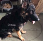 Deutscher Schäferhund Diensthund Geschirr mit Logos