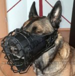 K9 Maulkorb aus Metall für Malinois Hund