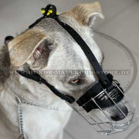 Wire Basket Dog Muzzle for Big Dog Breeds | Cage Muzzle for Dog