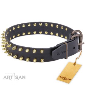 Robustes Halsband aus Leder mit Messing Spikes an beiden Kanten