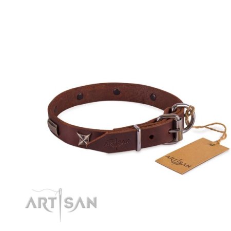 Exklusives Hundehalsband mit Sternen und Platten aus Nickel
