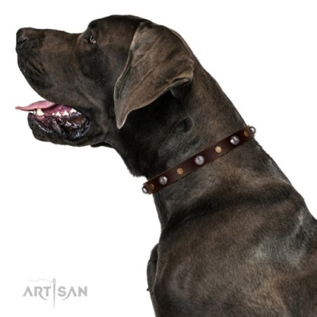 Leichtes Hundehalsband Echtleder mit Sternen und Kugeln Dekor