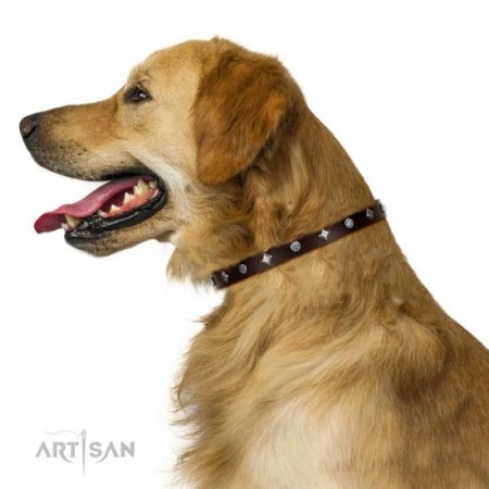 Langlebiges Lederhalsband mit Sternen und Rauten vom FDT Artisan Desing