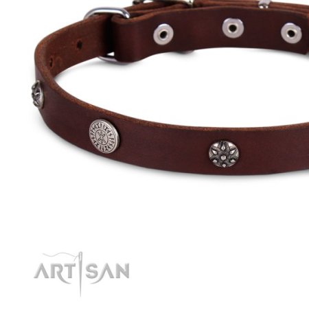 Wertvolles Halsband aus Leder in Braun mit Nieten verziert