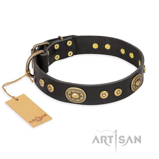 Bezauberndes Lederhalsband von Artisan FDT " Golden Radiance"